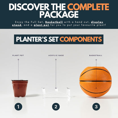 Basketball Planter Set - Basketball Decor with Sneakerhead Hypebeast Room Decor and a Splash of Hypebeast Decor. Funky Plant Pots for Basketball Room Decor Y2K (Orange)