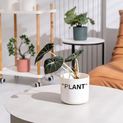 Off-White Inspired Sneaker Planter, Hypebeast Room Decor, Small 5 Inch Cylinder White Plastic Indoor Plant Pot with Built in Drainage Hole, Mini Flower Pot, Sneakerhead Gift.